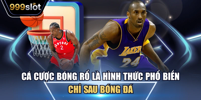 Cá cược bóng rổ là hình thức phổ biến chỉ sau bóng đá